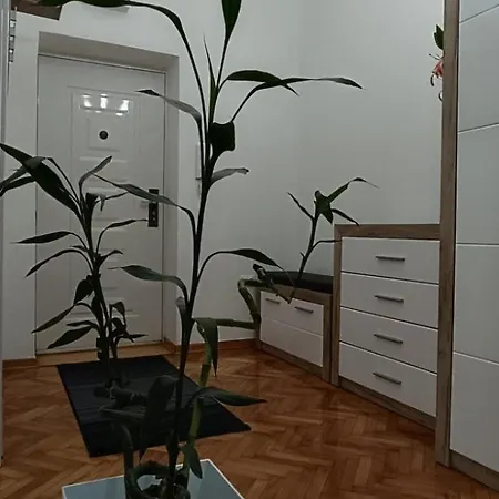 Appartement Venera Lux *